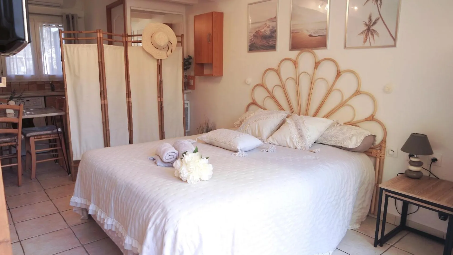 Apartment Maisonnette Proche Mer Terrasse Parking Climatisee Villeneuve-Loubet